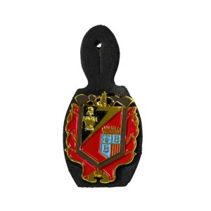 Insigne 7e RIISC